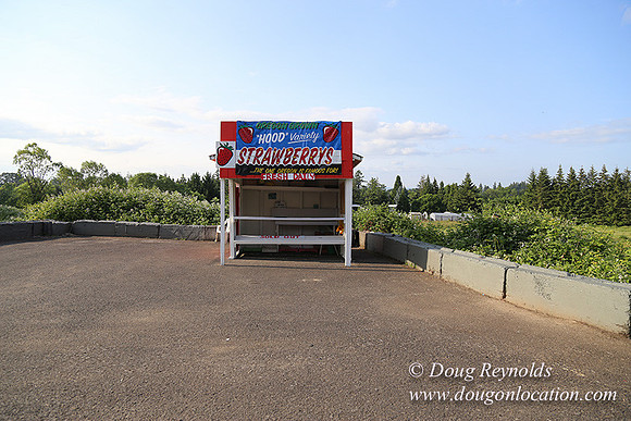 Hood Road Stand-5039
