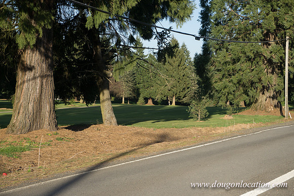 Kelso Rd W Driving E-3973