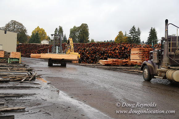Saw Mill and Lumber Yard
