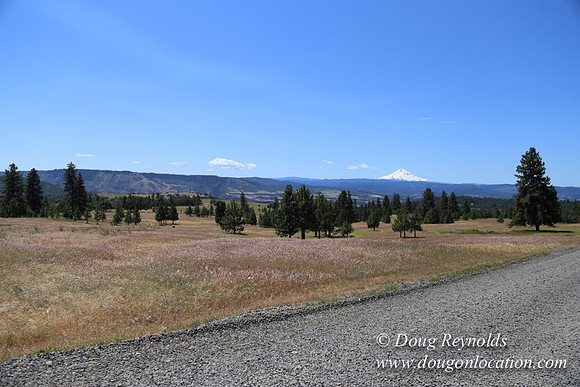 Brothers Ranch-8446