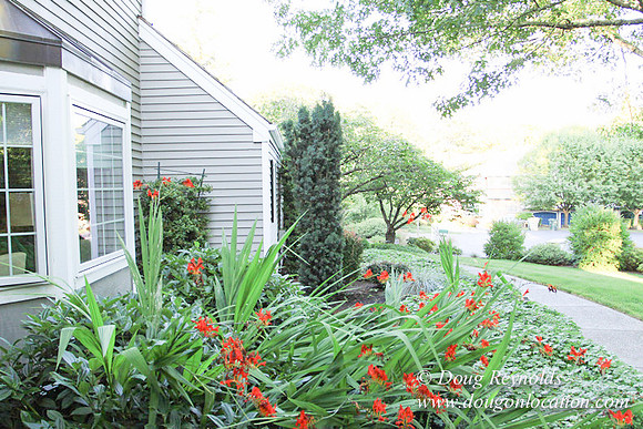 Large Traditional 70’s Style Home, 2 story, 3 car garage on Large Lot with Bees