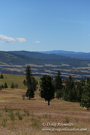 Brothers Ranch-8433