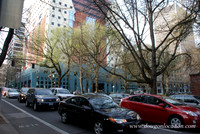 Chapman Square-0450