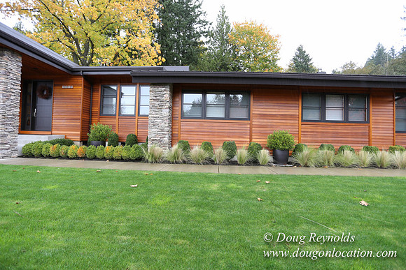Kathy's House-0384