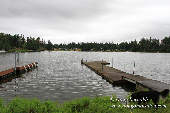 Cabin, Curtis, Dock, Green, Home, Lake, Small, WA, Washington, Yard, Yard, deck