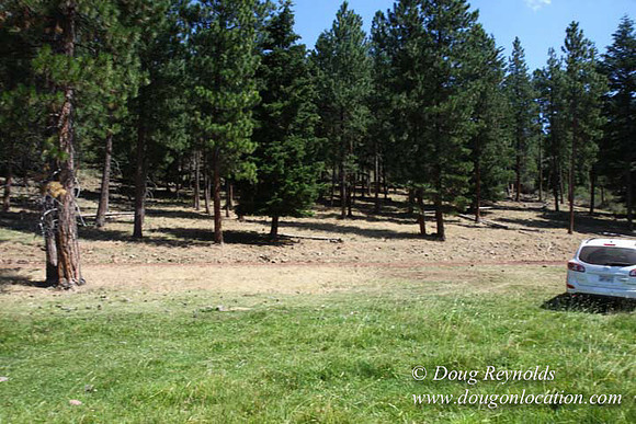 Ranch 18 South side of Hwy  has 2500 Acres of green fields Creeks water crossing Bridges on a Large Lake and miles of Dirt roads Oak trees  Forest land ATV Trails cows