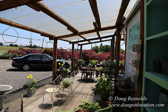 Little Door Farm Market-5406