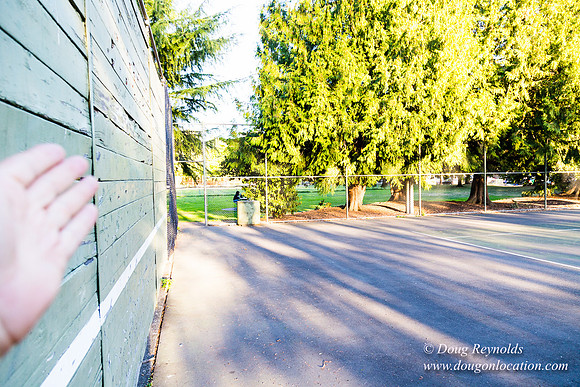 Essex Park & Tennis Courts