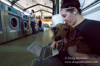Spin Laundry-2704