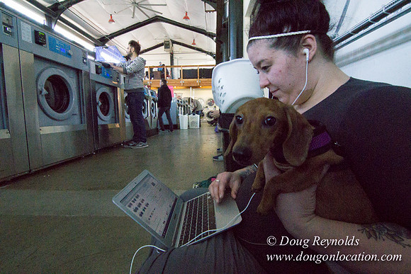 Spin Laundry-2704
