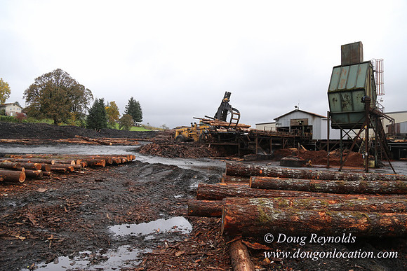 Saw Mill and Lumber Yard