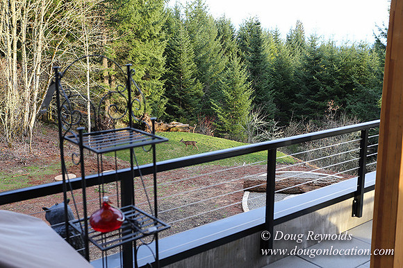 Modern Contemporary Green Home Portland Oregon Northwest Dwell Style, family house