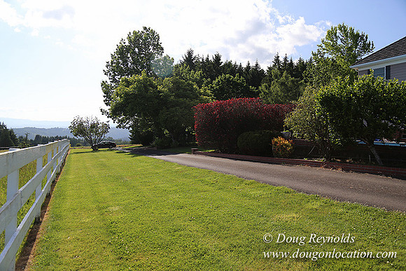 "2 Barns", "2 car garage", "40+ Acres", "PDX Zone", Pool, "White Fence", cows, "farm House", "rap around dive", "well maintained"