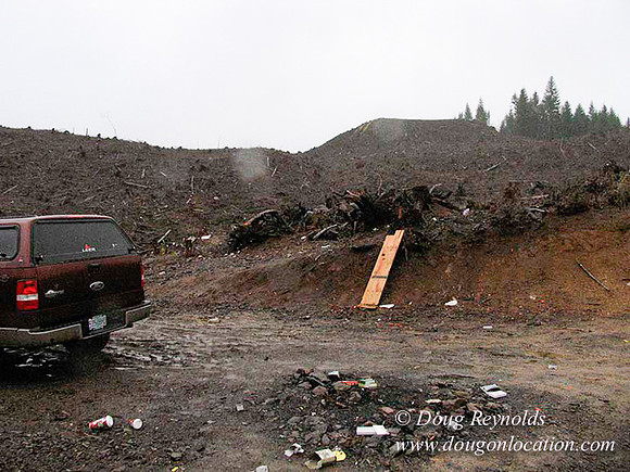 WC Clear Cut 2010-7790