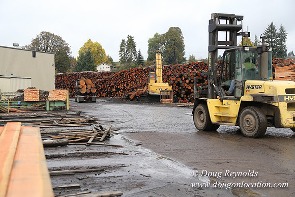 Saw Mill and Lumber Yard