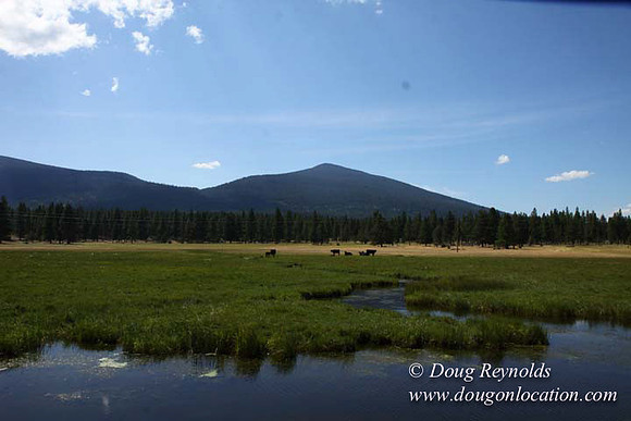 Ranch 18 South side of Hwy  has 2500 Acres of green fields Creeks water crossing Bridges on a Large Lake and miles of Dirt roads Oak trees  Forest land ATV Trails cows