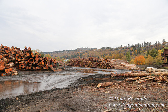 SDS Lumber-1365