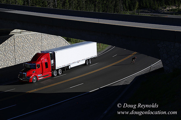 CMD Western Star Production Photo