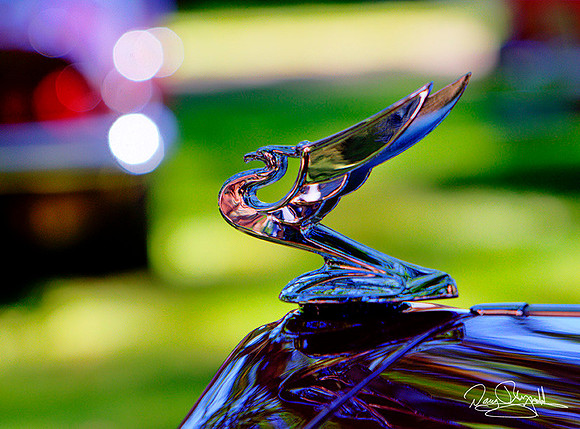Car Hood Ornament