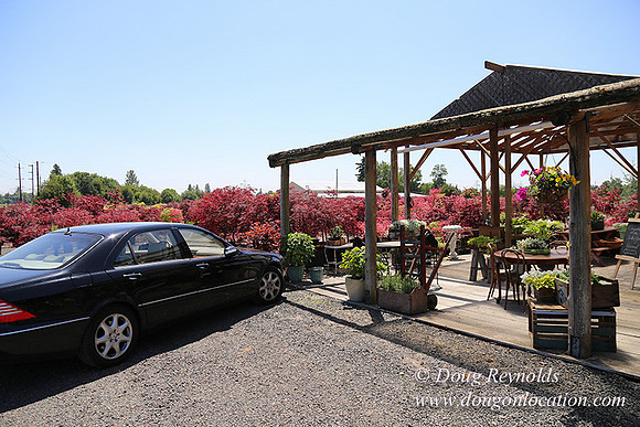 Little Door Farm Market-5392