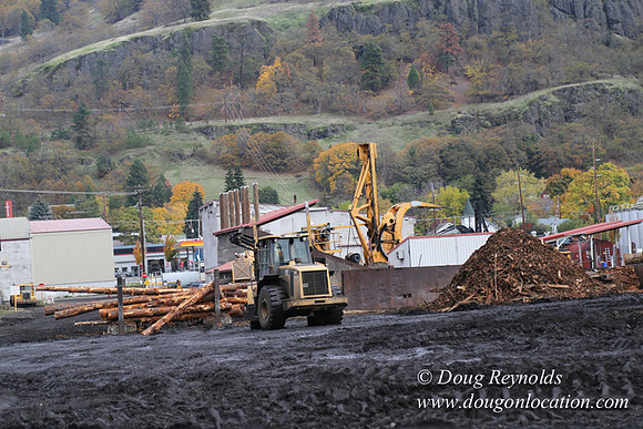 SDS Lumber-1319