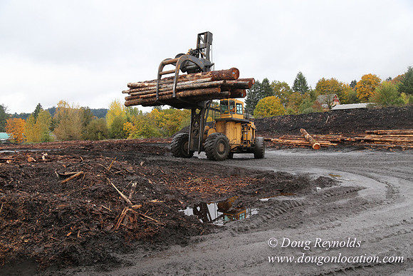 Saw Mill and Lumber Yard