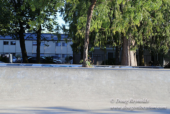 Lincoln Park-0605