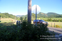 Neil Creek Horses-8546