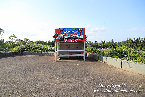 Hood Road Stand-5035