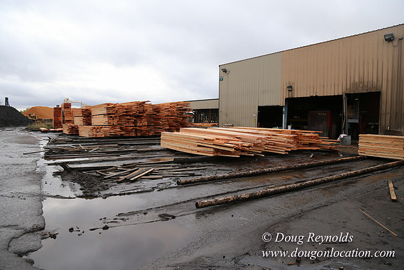 Saw Mill and Lumber Yard