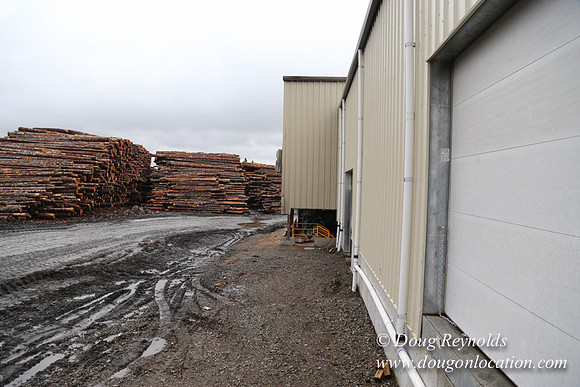 Saw Mill and Lumber Yard