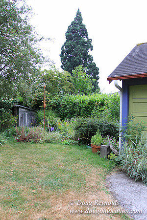 Laura’s Home This is a Portland Bungalow Style small home with a average sized and interesting back yard, nice garden with bee hive’s