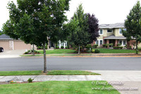 Miller Home-9021