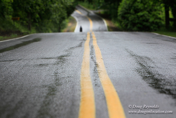 Brower Rd