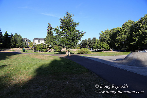 Lincoln Park-0606