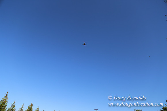 East End N Runway-5014