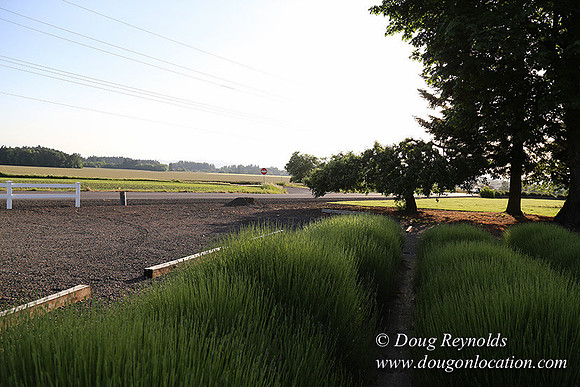 Toms Rd Side-6372