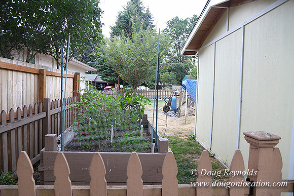 Jeramiah's Backyard-1666