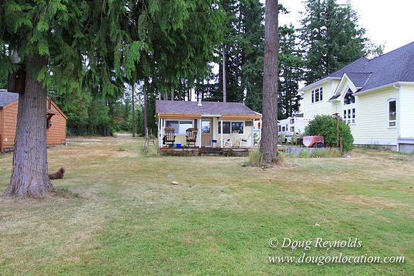 Cabin, Curtis, Dock, Green, Home, Lake, Small, WA, Washington, Yard, Yard, deck