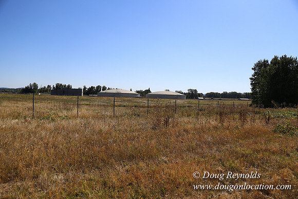 West End S Runway-4932