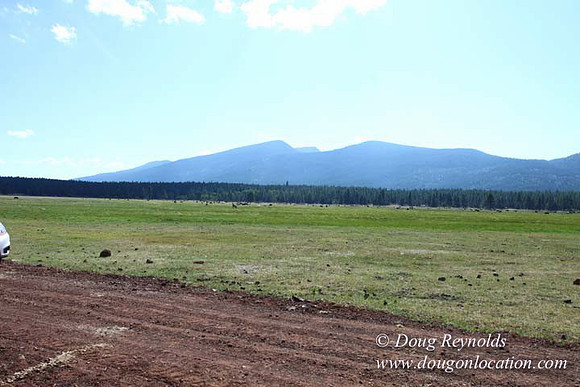 Ranch 18 South side of Hwy  has 2500 Acres of green fields Creeks water crossing Bridges on a Large Lake and miles of Dirt roads Oak trees  Forest land ATV Trails cows
