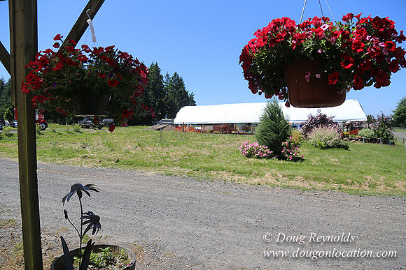lee Farms-5286