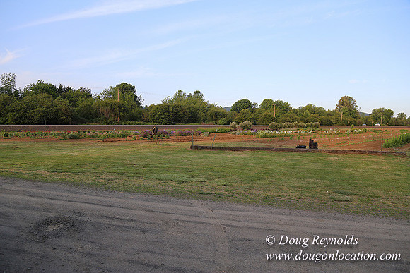 Jim Dandy Farm-5070