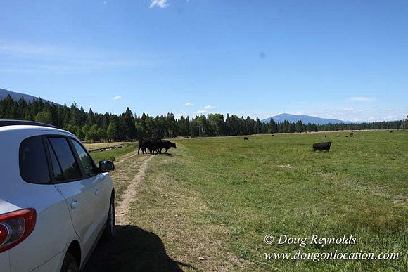 Ranch 18 South side of Hwy  has 2500 Acres of green fields Creeks water crossing Bridges on a Large Lake and miles of Dirt roads Oak trees  Forest land ATV Trails cows