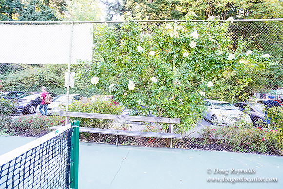 Washington Park Tennis Courts