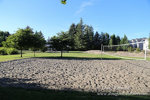 Lincoln Park-0552
