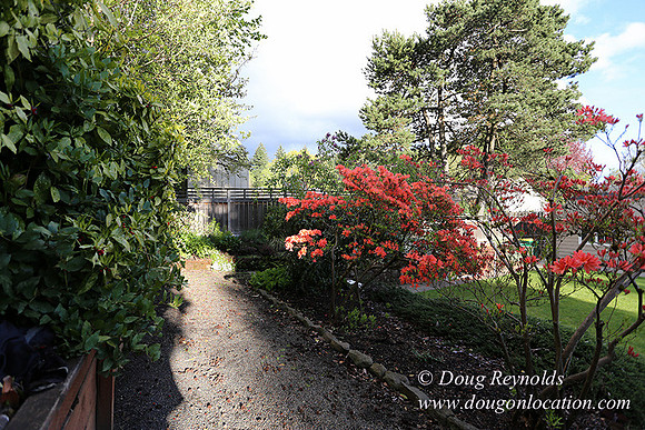 Mid Century Traditional Style Home, With a Basement, 2 car garage average sized Back Yard with Patio and Fire Pit.