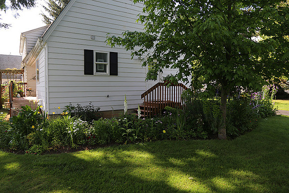 Dale's Penny Ln-4936