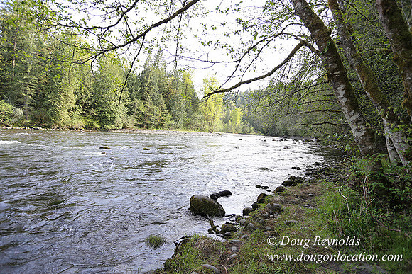 Brians River Side-0008