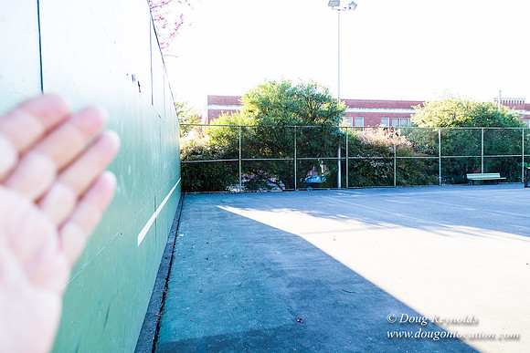 Kenilworth Courts